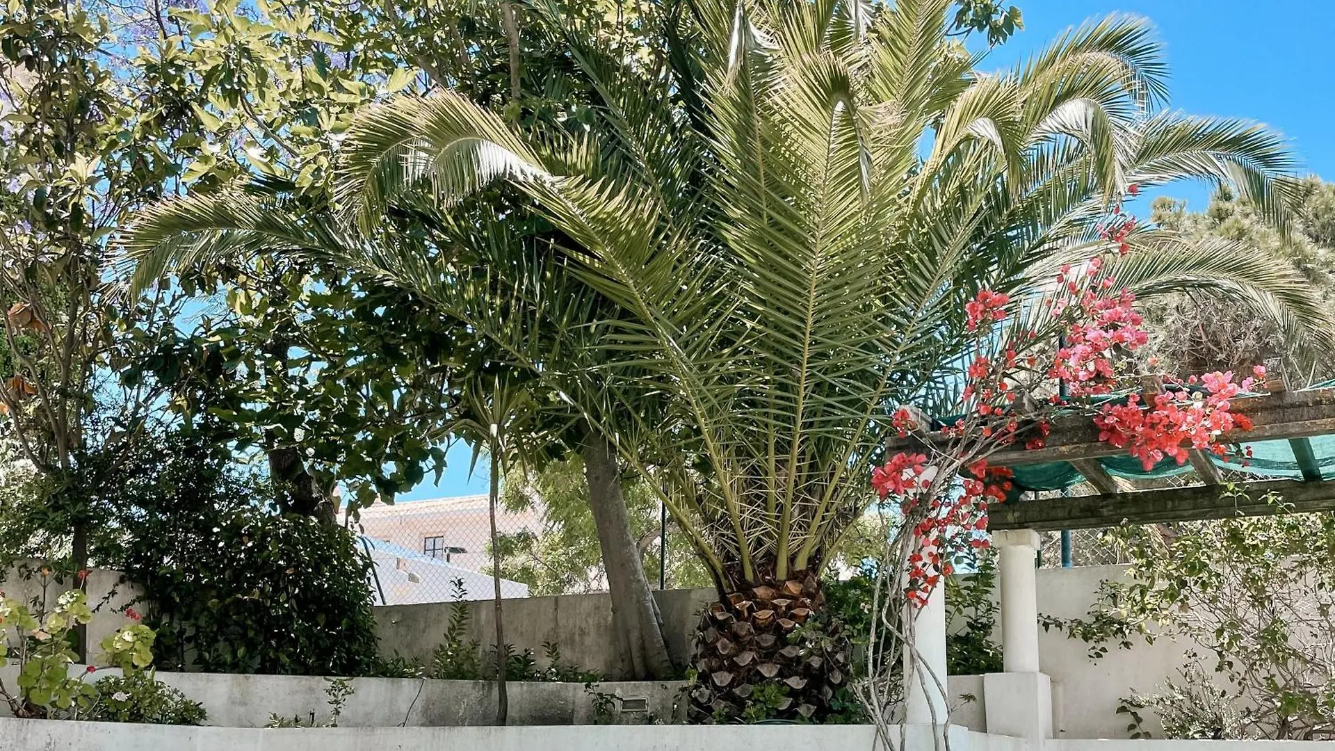 Vilamoura Cozy Apartment- Algardia 0*,  Portugal